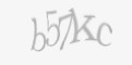 Защитный код